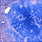SIF_1437_0794510658_406EBY_N0692124SRLC00566_0000LMJ