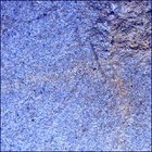 SIF_1439_0794723376_371EBY_N0692124SRLC08046_0000LMJ