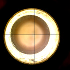 CCF_1441_0794885642_255EBYUN0692124CACH00222_XX_0LLJ