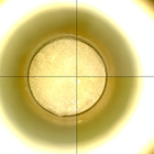 CCF_1441_0794885935_028EBYUN0692124CACH00228_XX_0LLJ