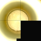 CCF_1441_0794885977_020EBYUN0692124CACH00229_XX_0LLJ