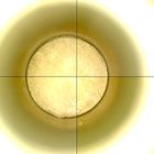 CCF_1441_0794886014_255EBYUN0692124CACH00229_XX_0LLJ