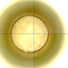 CCF_1441_0794886052_785EBYUN0692124CACH00229_XX_0LLJ