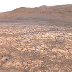 spatial_tn stereo_tn NLF_1445_0795225486_300ECM_N0700000NCAM03445_XX_185J
