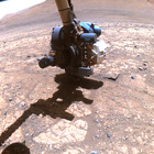 FLF_1447_0795399519_865ECM_N0700000FHAZ00215_01_275J