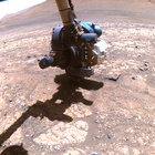 FLF_1447_0795399819_882ECM_N0700000FHAZ00215_01_275J