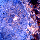 SIF_1449_0795570996_734EBY_N0700000SRLC00681_0000LMJ