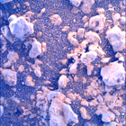 SIF_1449_0795572026_316EBY_N0700000SRLC00578_0000LMJ