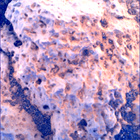 SIF_1449_0795572404_382EBY_N0700000SRLC00578_0000LMJ