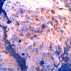 SIF_1449_0795572406_292EBY_N0700000SRLC00578_0000LMJ