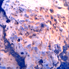 SIF_1449_0795572415_843EBY_N0700000SRLC00578_0000LMJ