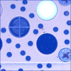 SIF_1453_0795942875_687EBY_N0710000SRLC07031_0000LMJ
