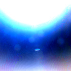 NLF_1456_0796195060_288ECM_N0710056NCAM00501_01_295J