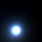 NLF_1456_0796195144_294ECM_N0710056NCAM00501_01_295J