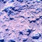 SIF_1458_0796381667_636EBY_N0710056SRLC01066_0000LMJ