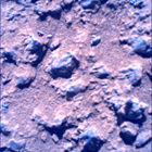 SIF_1458_0796381849_597EBY_N0710056SRLC01066_0000LMJ