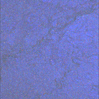 SIF_1460_0796581024_257EBY_N0710056SRLC08057_0000LMJ