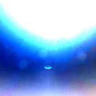NLF_1461_0796637305_799ECM_N0710056NCAM00501_01_295J