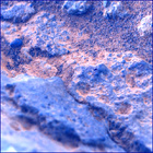 SIF_1466_0797097783_410EBY_N0710160SRLC00660_0000LMJ