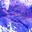 SIF_1466_0797097808_871EBY_N0710160SRLC00660_0000LMJ