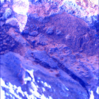 SIF_1466_0797097813_980EBY_N0710160SRLC00660_0000LMJ