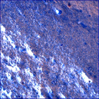 SIF_1466_0797098481_640EBY_N0710160SRLC00660_0000LMJ