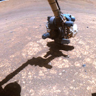 FLF_1473_0797704875_802ECM_N0720000FHAZ00215_01_275J