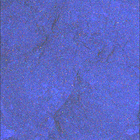SIF_1473_0797734976_250EBY_N0720000SRLC08029_0000LMJ