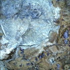 SIF_1476_0798000439_519EBY_N0720000SRLC09814_0000LMJ