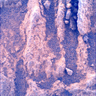 SIF_1479_0798235114_828EBY_N0730000SRLC00730_0000LMJ