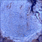 SIF_1479_0798238914_136EBY_N0730000SRLC02504_0000LMJ