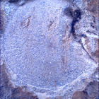 SIF_1479_0798239086_656EBY_N0730000SRLC01025_0000LMJ