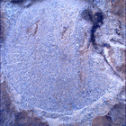 SIF_1479_0798239089_695EBY_N0730000SRLC01025_0000LMJ
