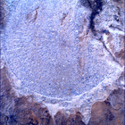 SIF_1479_0798239256_890EBY_N0730000SRLC01025_0000LMJ