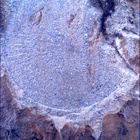 SIF_1479_0798239261_449EBY_N0730000SRLC01025_0000LMJ