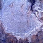 SIF_1479_0798239262_968EBY_N0730000SRLC01025_0000LMJ