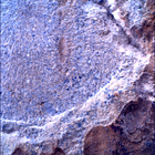 SIF_1480_0798334286_921EBY_N0730000SRLC00645_0000LMJ