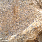 SIF_1480_0798334632_500EBY_N0730000SRLC00381_0000LMJ