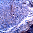 SIF_1480_0798334666_316EBY_N0730000SRLC00381_0000LMJ