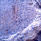 SIF_1480_0798334670_062EBY_N0730000SRLC00381_0000LMJ