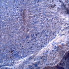 SIF_1480_0798334673_804EBY_N0730000SRLC00381_0000LMJ