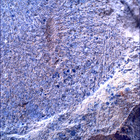 SIF_1480_0798334675_675EBY_N0730000SRLC00381_0000LMJ