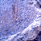 SIF_1480_0798334679_417EBY_N0730000SRLC00381_0000LMJ