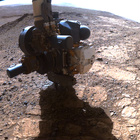 FLF_1483_0798604918_179ECM_N0730000FHAZ00215_01_275J