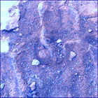 SIF_1483_0798596672_164EBY_N0730000SRLC02503_0000LMJ