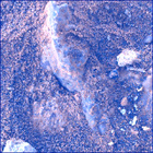 SIF_1483_0798596822_445EBY_N0730000SRLC00730_0000LMJ