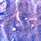 SIF_1483_0798596851_578EBY_N0730000SRLC00730_0000LMJ