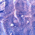SIF_1483_0798596854_812EBY_N0730000SRLC00730_0000LMJ