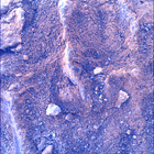 SIF_1483_0798596859_664EBY_N0730000SRLC00730_0000LMJ