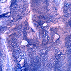 SIF_1483_0798597032_128EBY_N0730000SRLC00730_0000LMJ